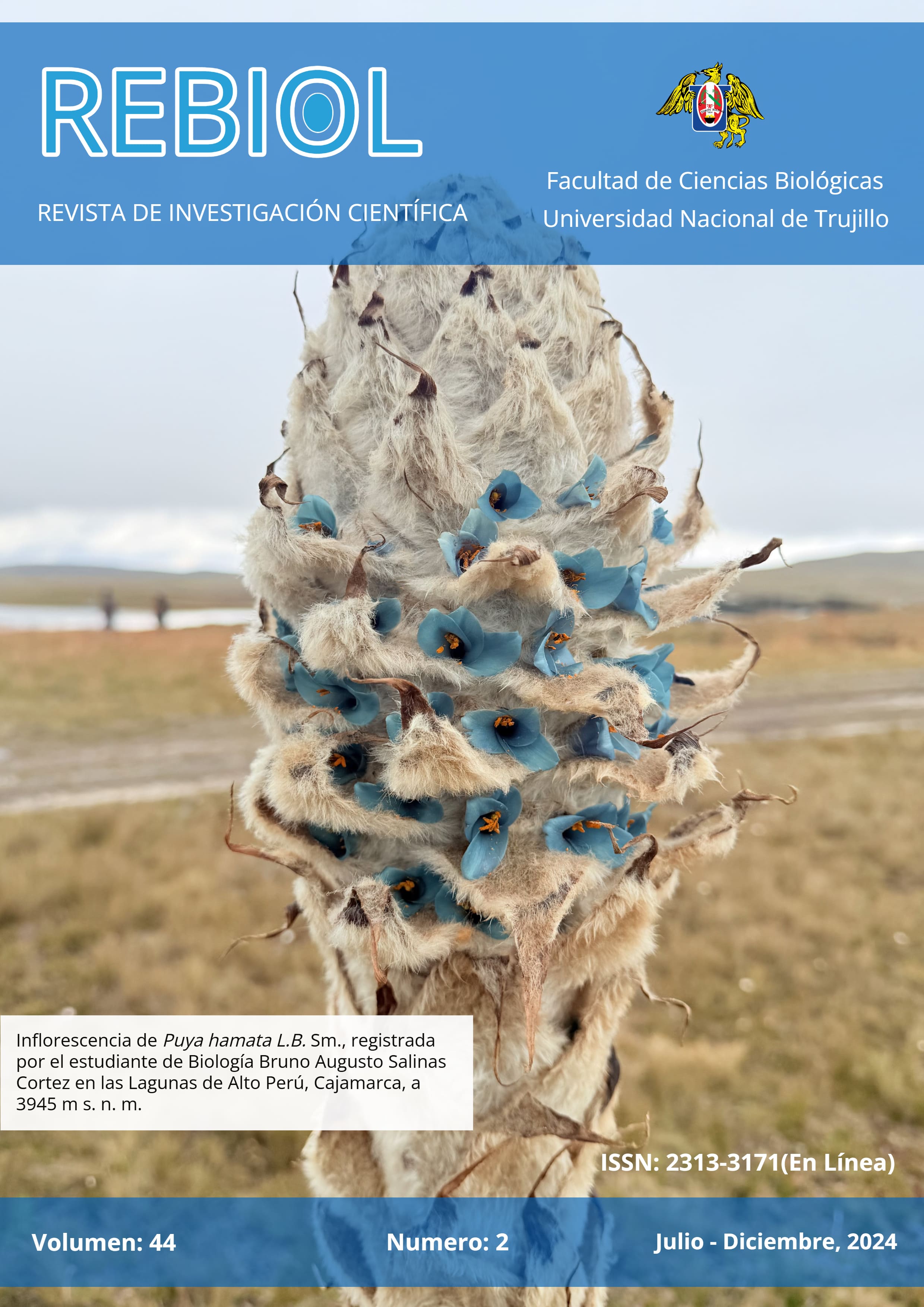 					Ver Vol. 44 Núm. 2 (2024): REVISTA DE INVESTIGACIÓN CIENTÍFICA (REBIOL)
				