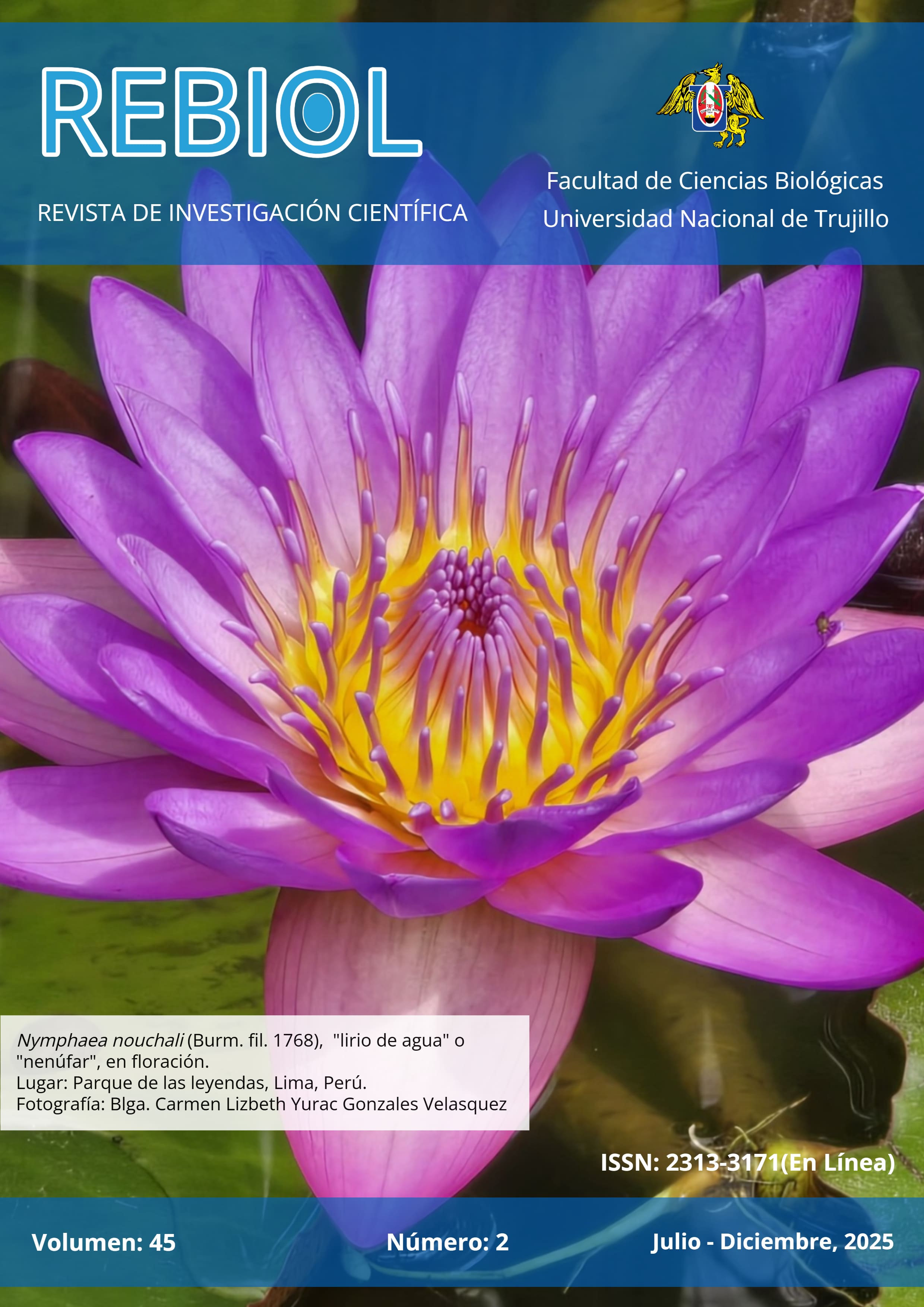 					Ver Vol. 45 Núm. 2 (2025): REVISTA DE INVESTIGACIÓN CIENTÍFICA (REBIOL)
				
